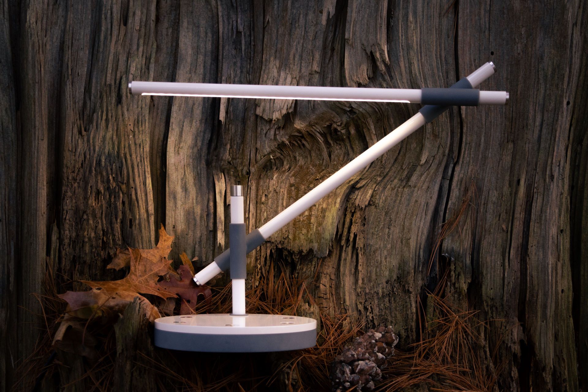 Mare Desk Lamp in front of a big tree trunk